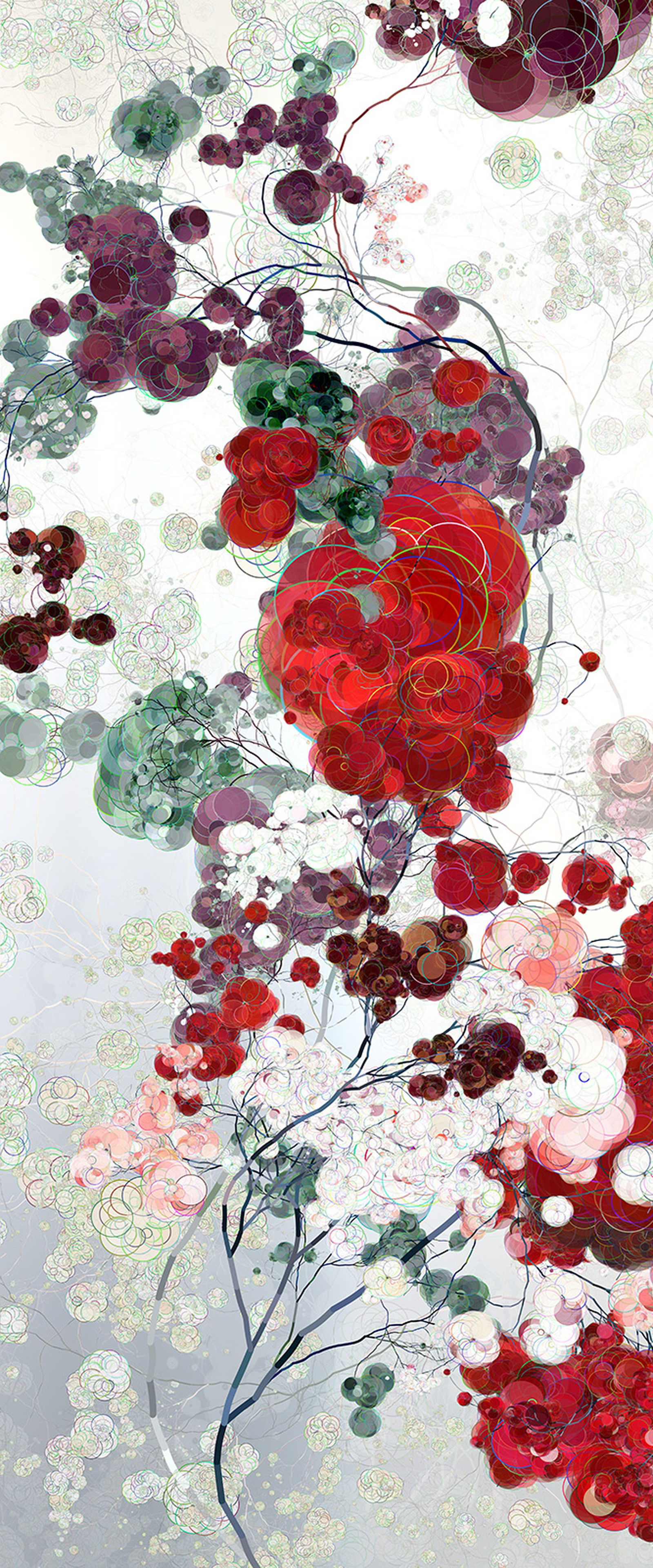 Run into Roses III by Holger Lippmann - Limited Edition. Edition of: 150. Signed.