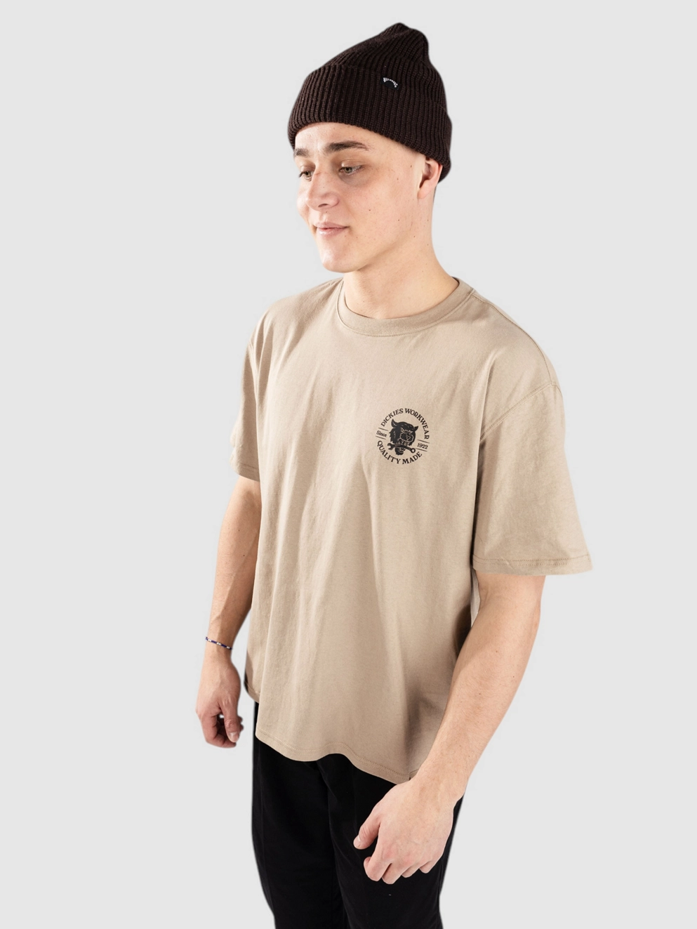 Dickies Wrench T-Shirt desert sand