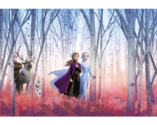 Fotobehangpapier SD4102 Disney Edition 4 Disney Frozen Friends Forever 8-delige set 368 x 254 cm