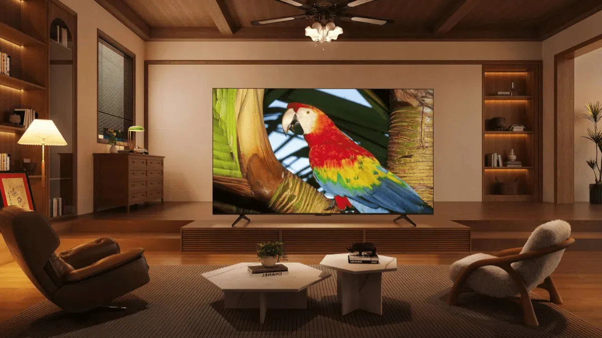 TCL 50QLED780 (TCL 50C655) TV QLED