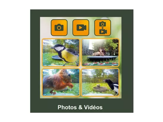 Mangeoire à oiseaux BirdyCam