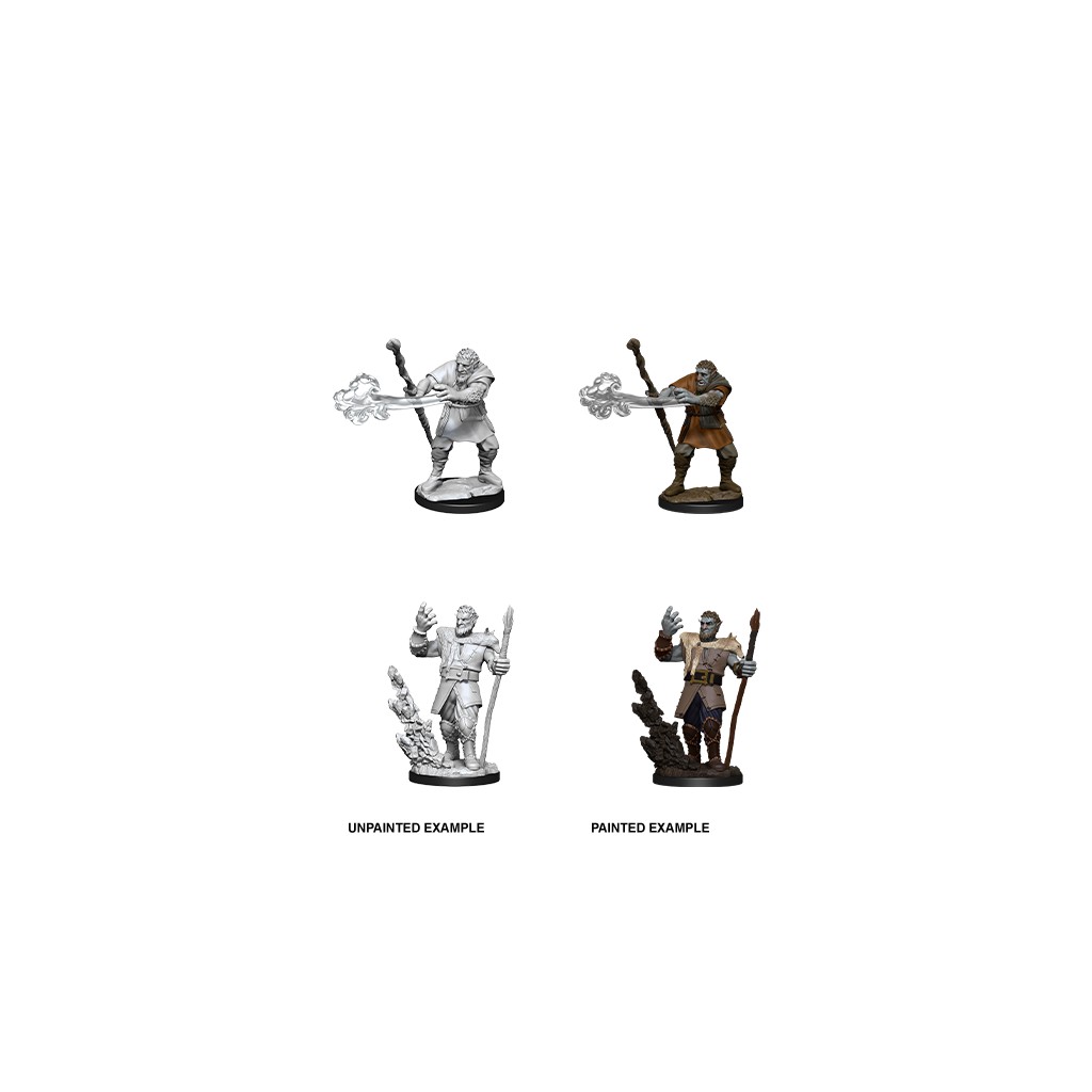 D&D Nolzur's Marvelous Unpainted Miniatures: Male Firbolg Druid