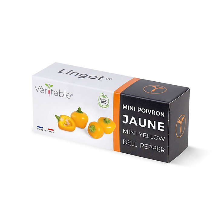 Lingot® Mini poivron jaune Bio pour potager Véritable®
