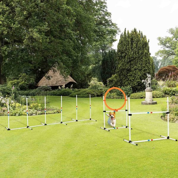 3-Delt Dog Agility Set Trening For Kjæledyr Hunde Treningssett Inkluderer Pose Lett Å Bære Plast Hvit + Gul