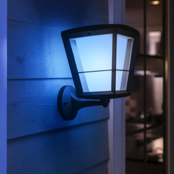 Philips Hue muurlamp zwart - wit en gekleurd licht 15W - omhoog