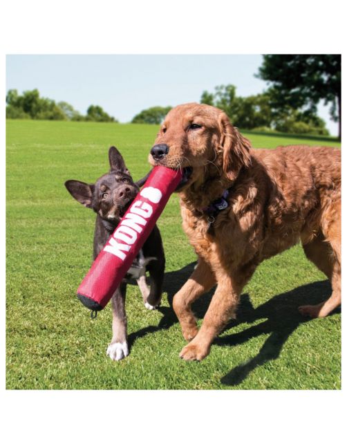 Kong Signature Stick - Hondenspeelgoed -