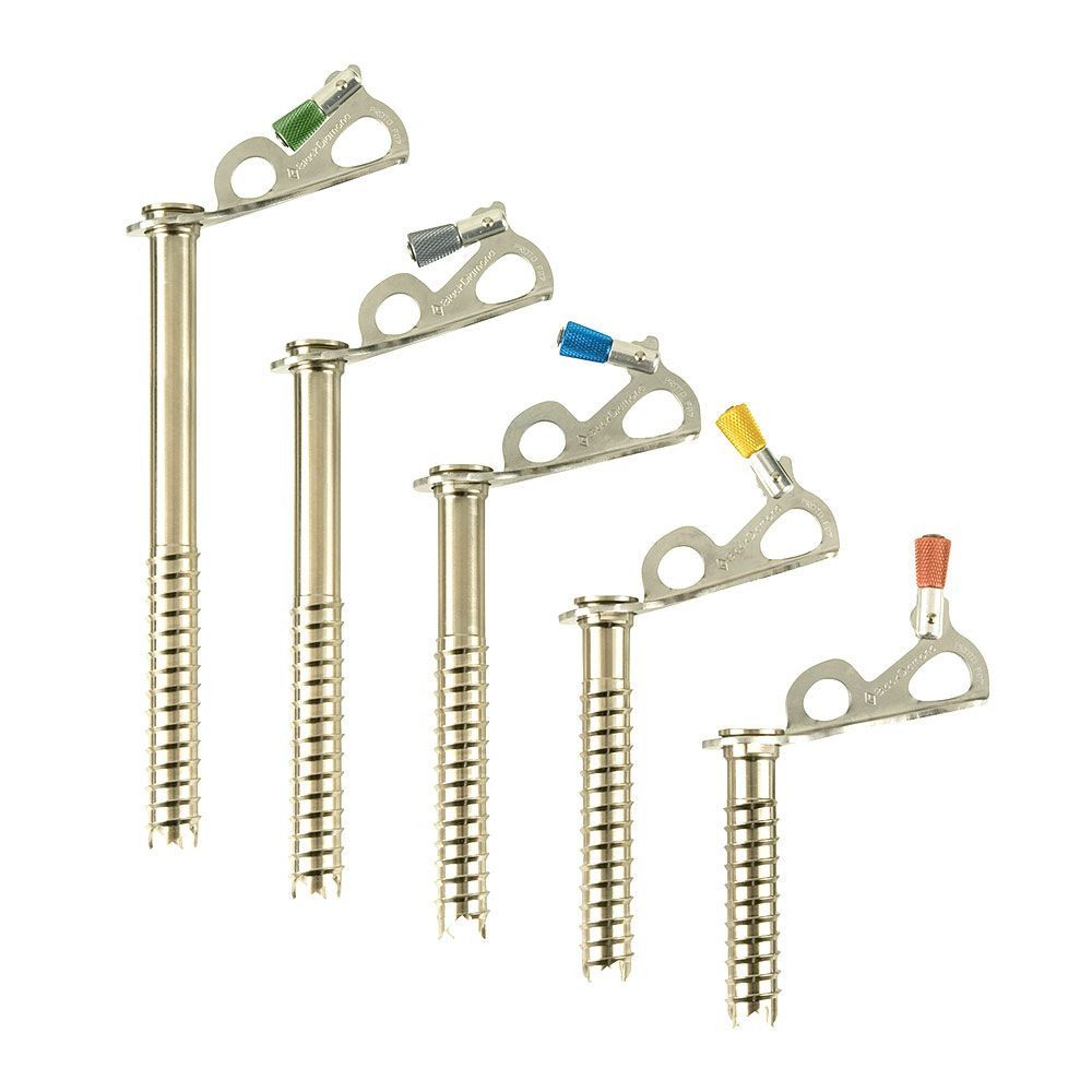 Black Diamond EXPRESS ICE SCREW 16CM- Broche À glace