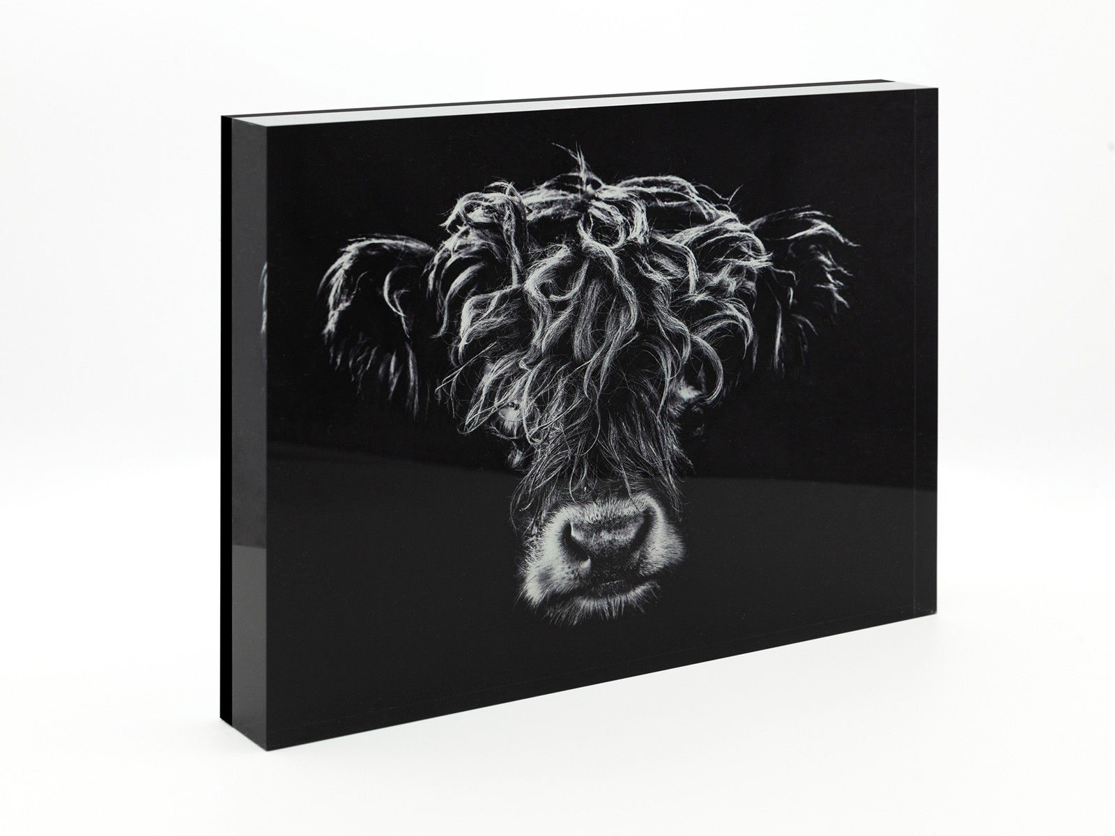 Highlander II by Claudio Gotsch - Open Edition.