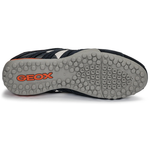 Geox - UOMO SNAKE - Bleu / Noir