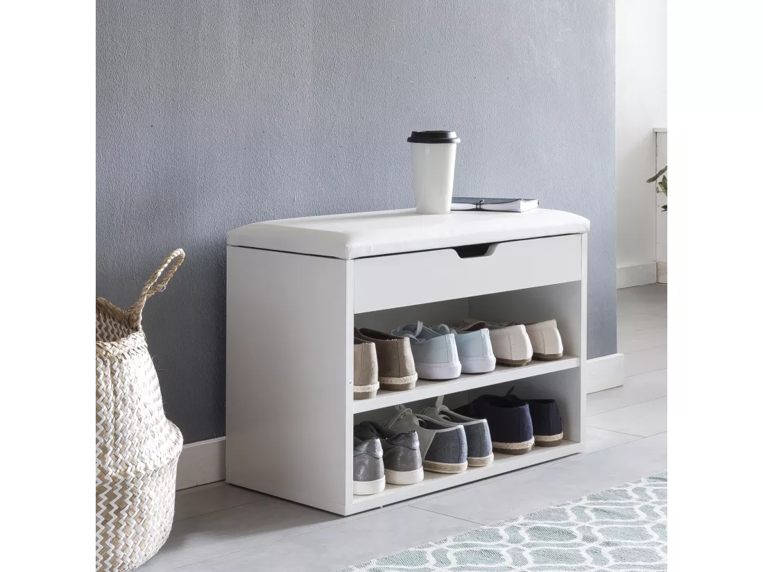 Banc de Rangement à Chaussure Entrée 60x40x30 cm Étagère a Chaussures