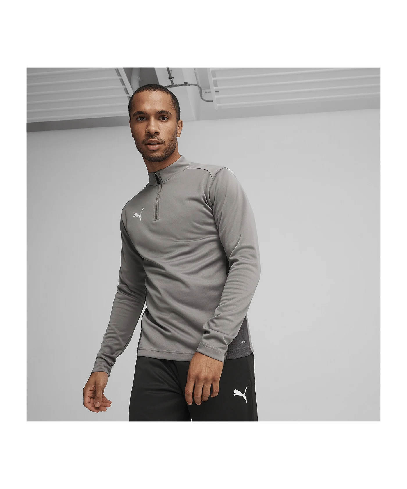PUMA teamGOAL Training 1/4 Zip Sweatshirt Grau F13