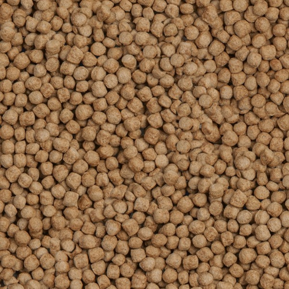 Sera koi royal medium 3.8l (1kg)