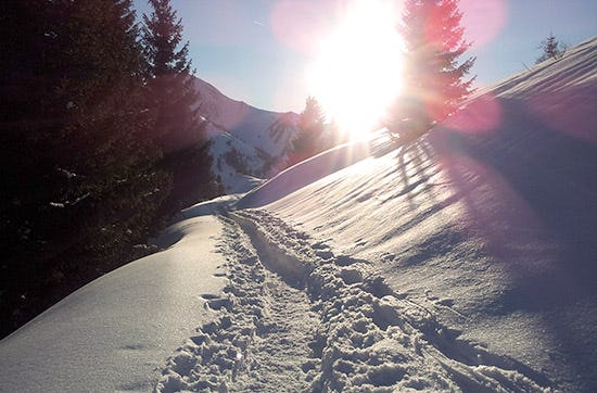 Skitour Tannheim als Geschenk