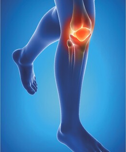 Epitact Physiostrap Medical Kniebeschermer Maat XL 1ST