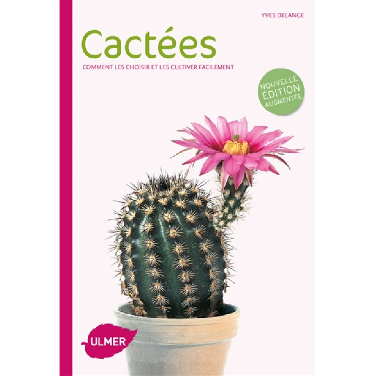 Cactées : comment les choisir et les cultiver facilement · Occasion