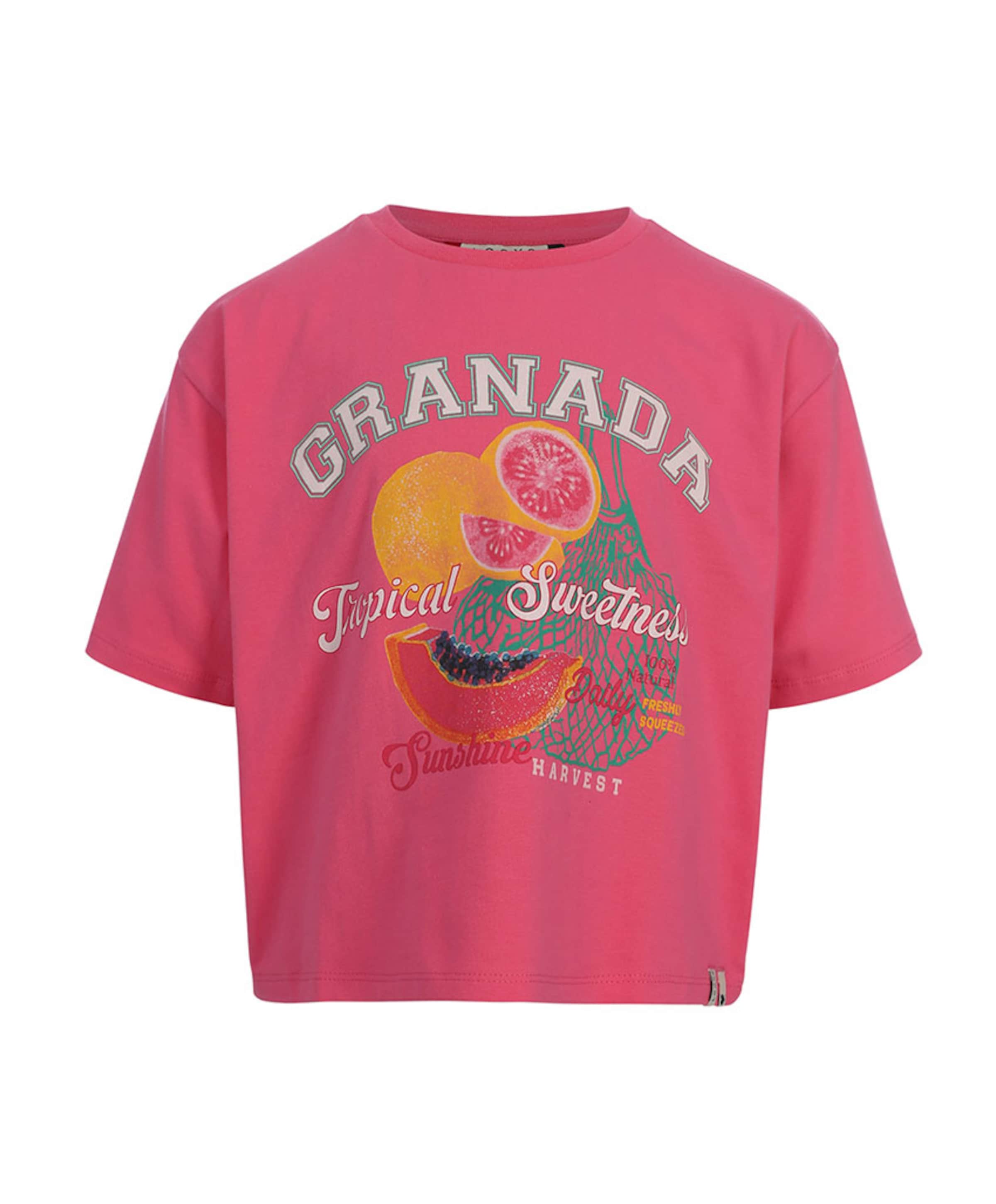 Looxs Little Meisjes T-shirt roze