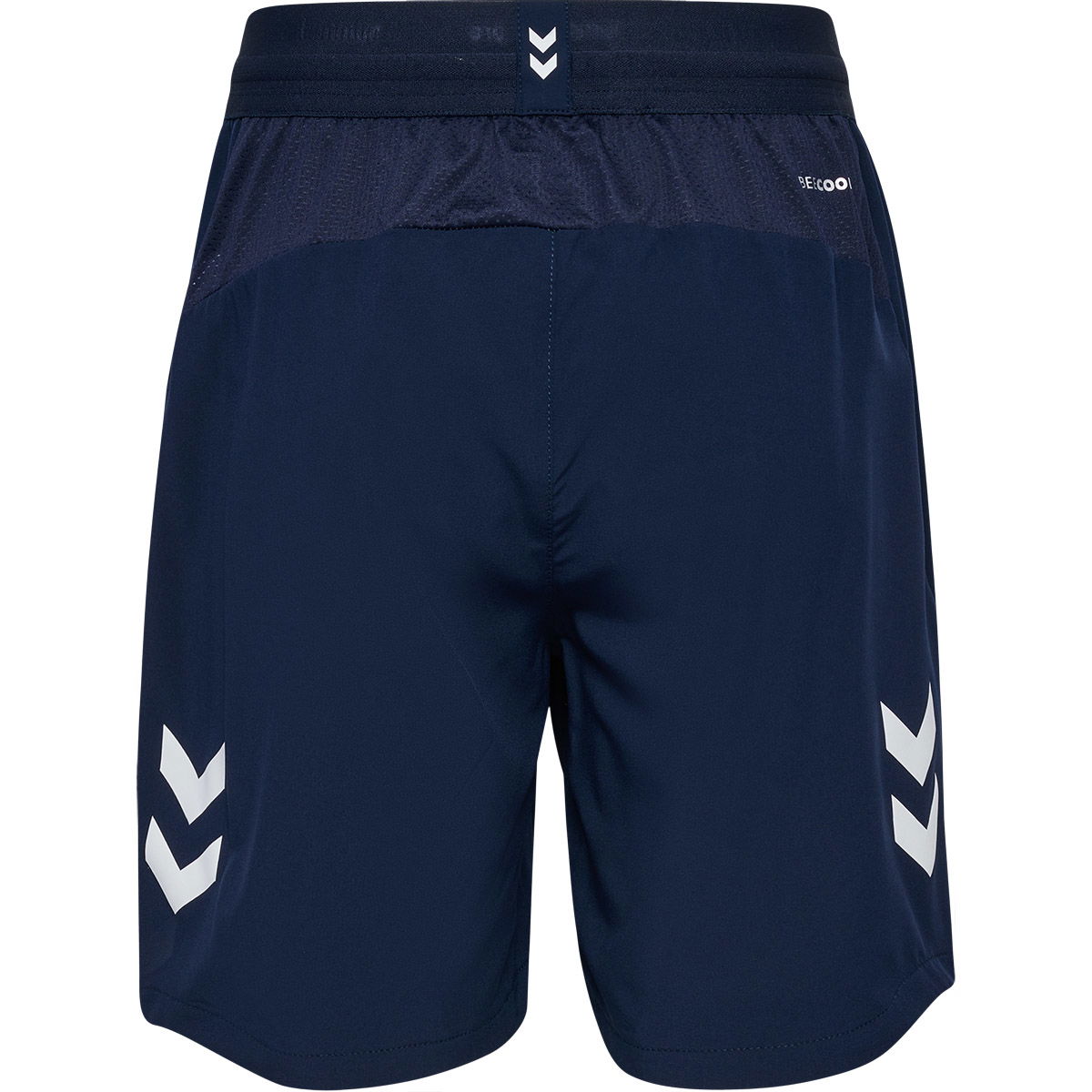 DBU Pro 24 Woven Træningsshorts Børn