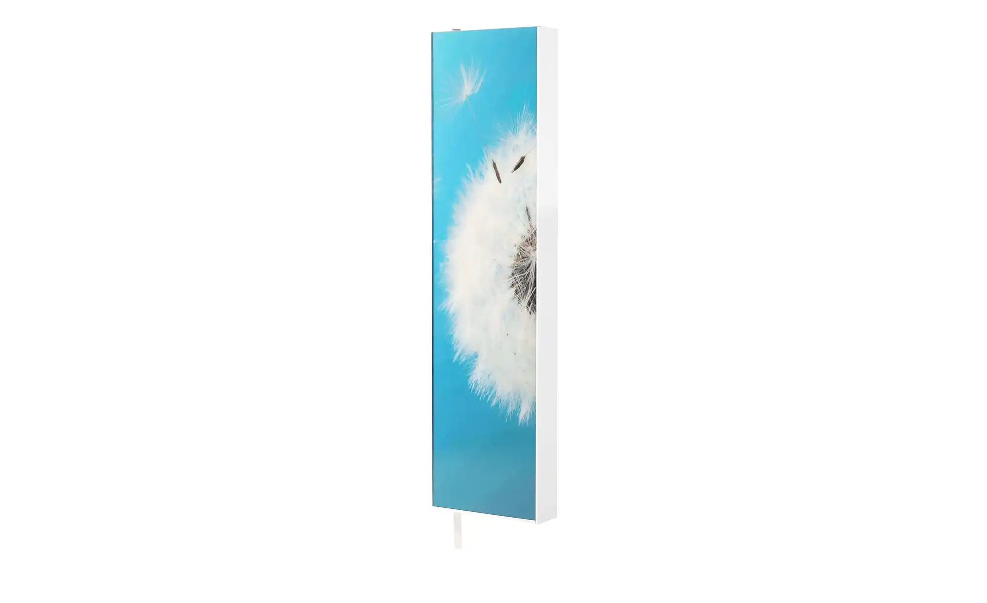 Mehrzweckschrank Pictura