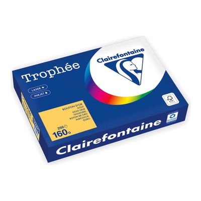 Clairefontaine Trophée - Papier - or - A4 (210 x 297 mm) - 160 g/m² - Ramette de 250 feuilles