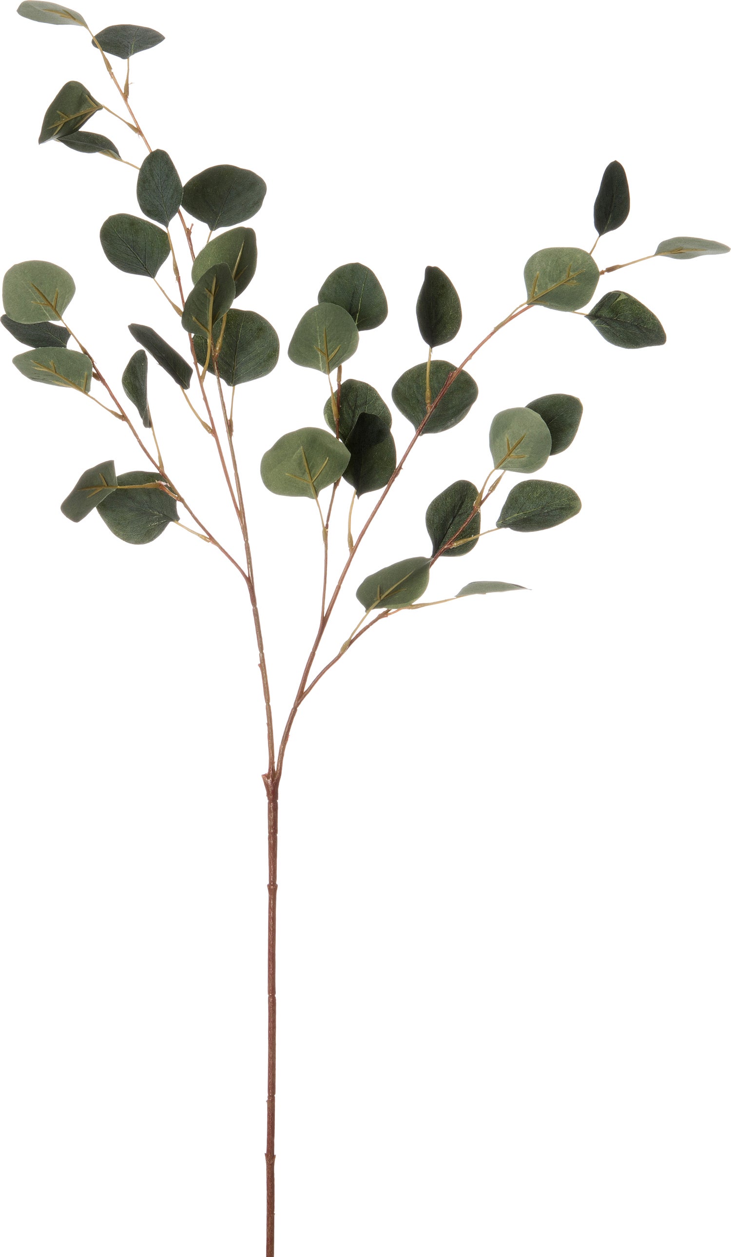 Intratuin kunsttak Eucalyptus 96 cm