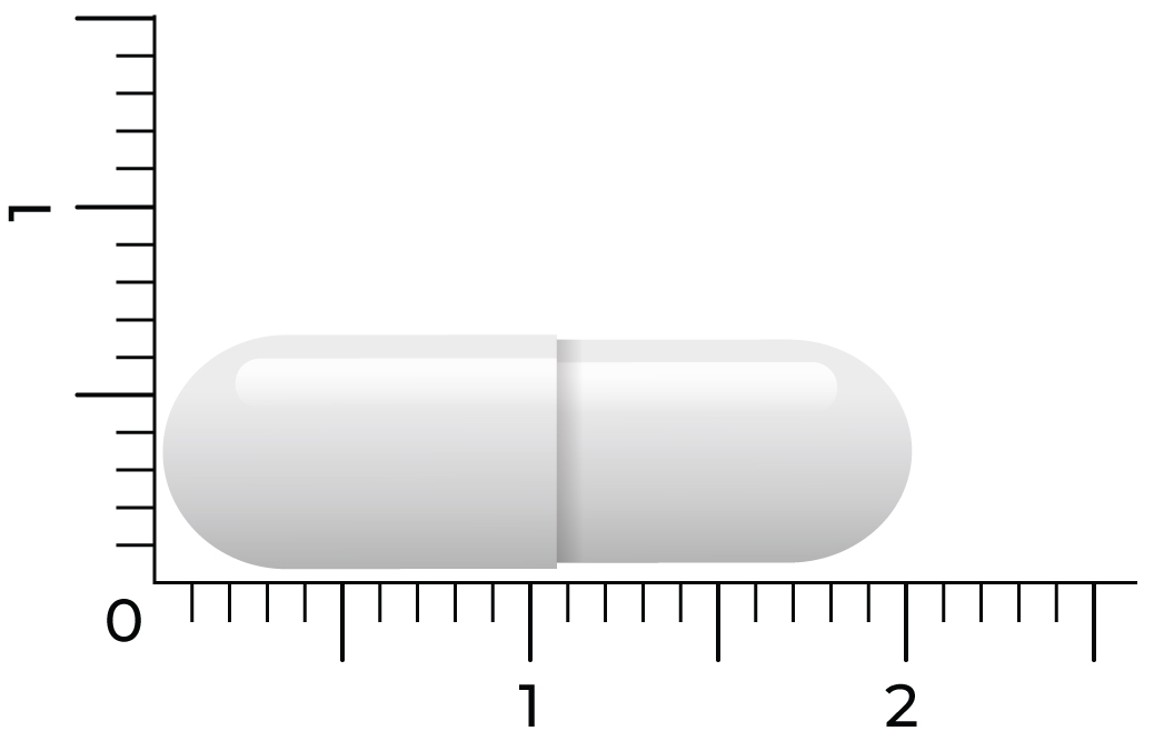 Vitakruid Zink Methionine & Koper Gluconaat (90 vega capsules)