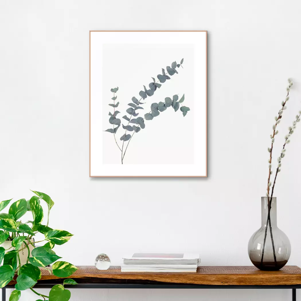 Wandbild 40 x 50 cm Eucalyptus