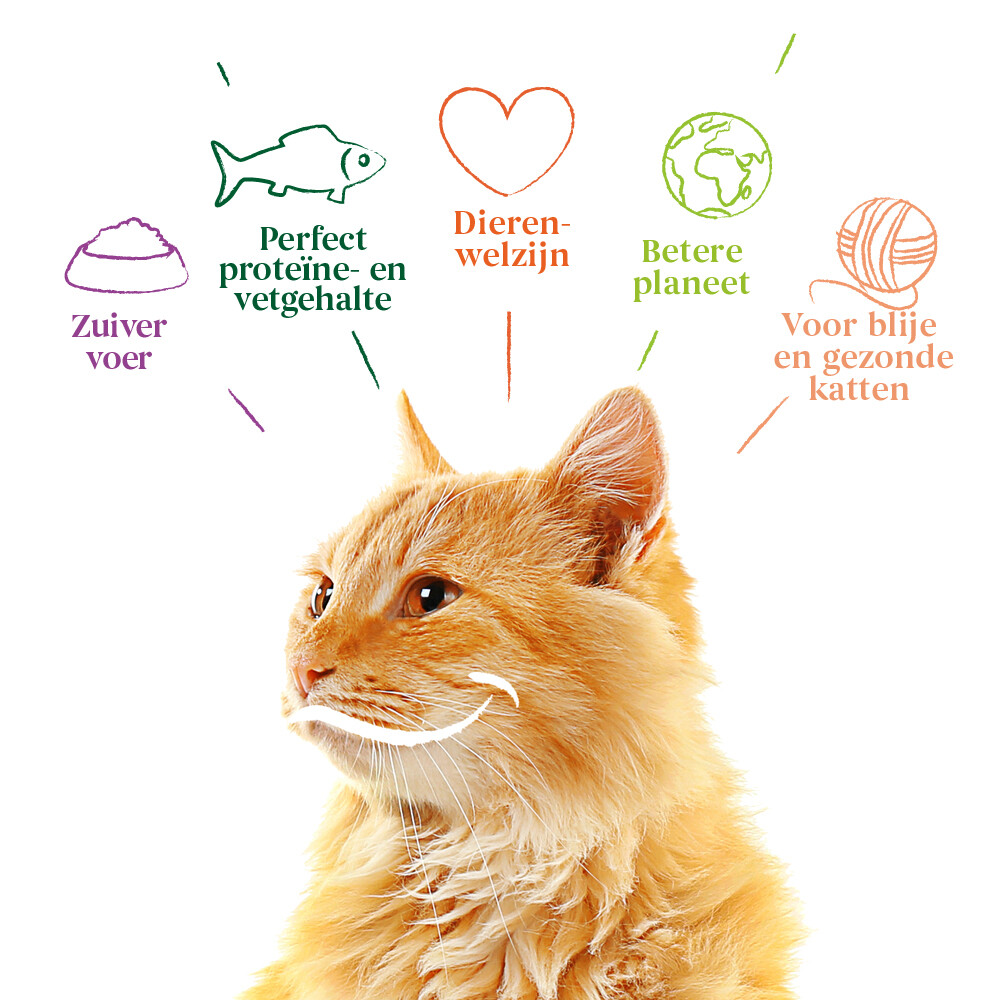 Yarrah Bio Kattenvoer Adult Vis2,4 kg