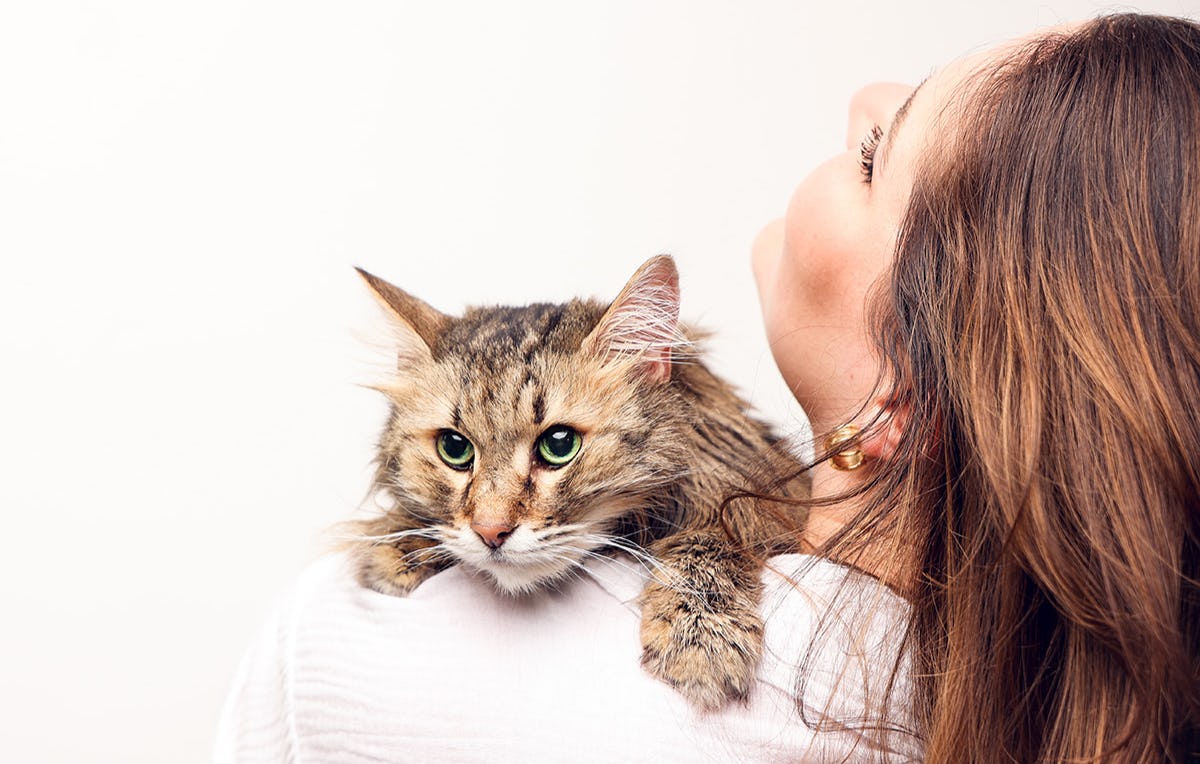 Tier Fotoshooting in Leipzig als Geschenkidee