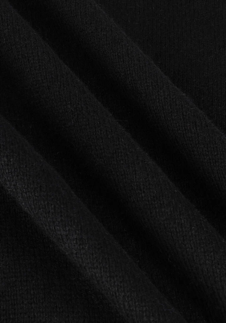ANERKJENDT zwarte anerkjendt coltrui aknico solid roll neck lambswool