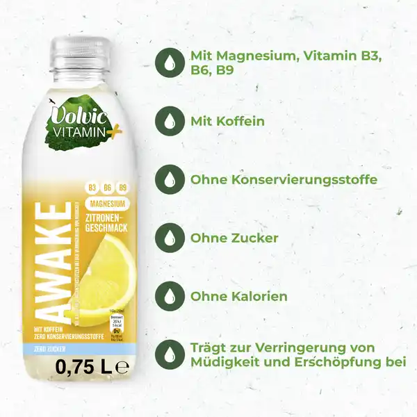 Volvic Vitamin+ Zitrone 0,75L