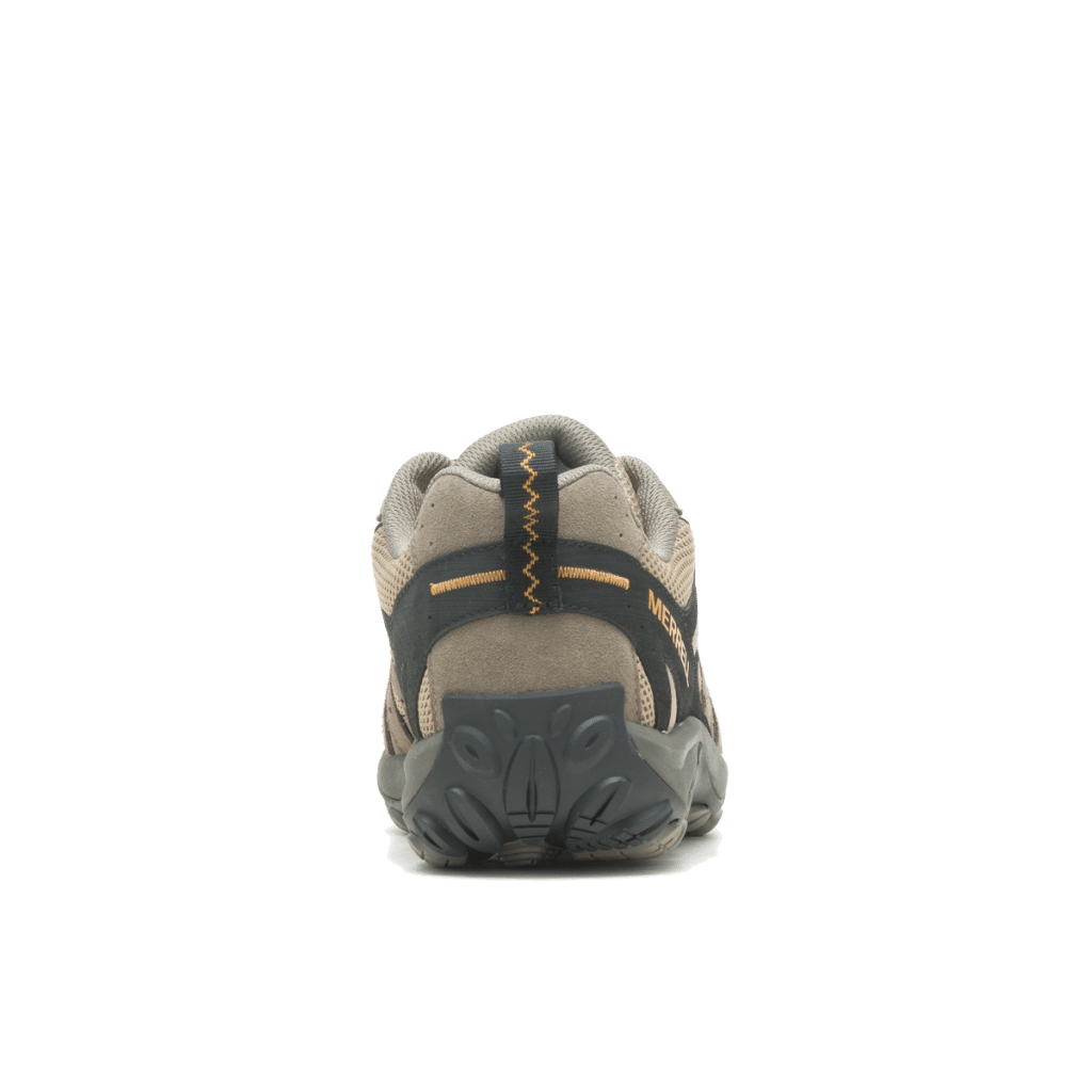 Accentor 3 Homem