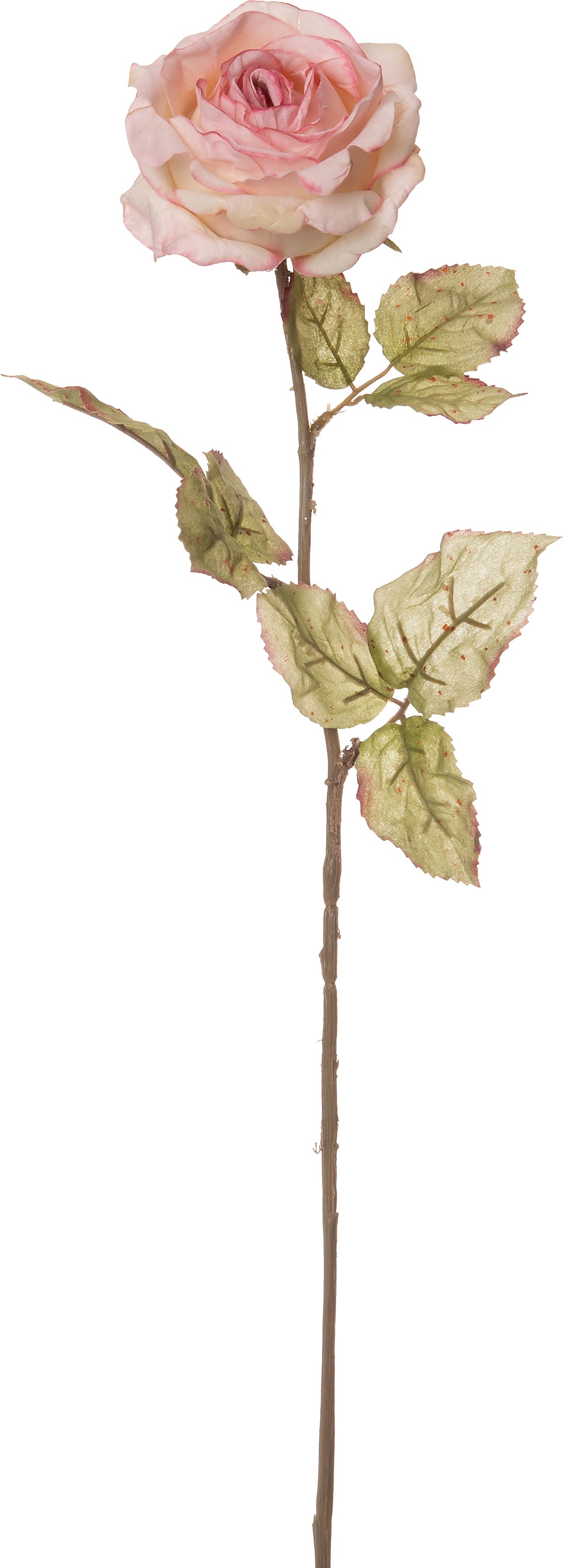 Intratuin kunstbloem Roos 62 cm roze