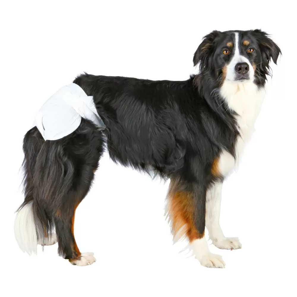 Trixie hundeble - 12 stk