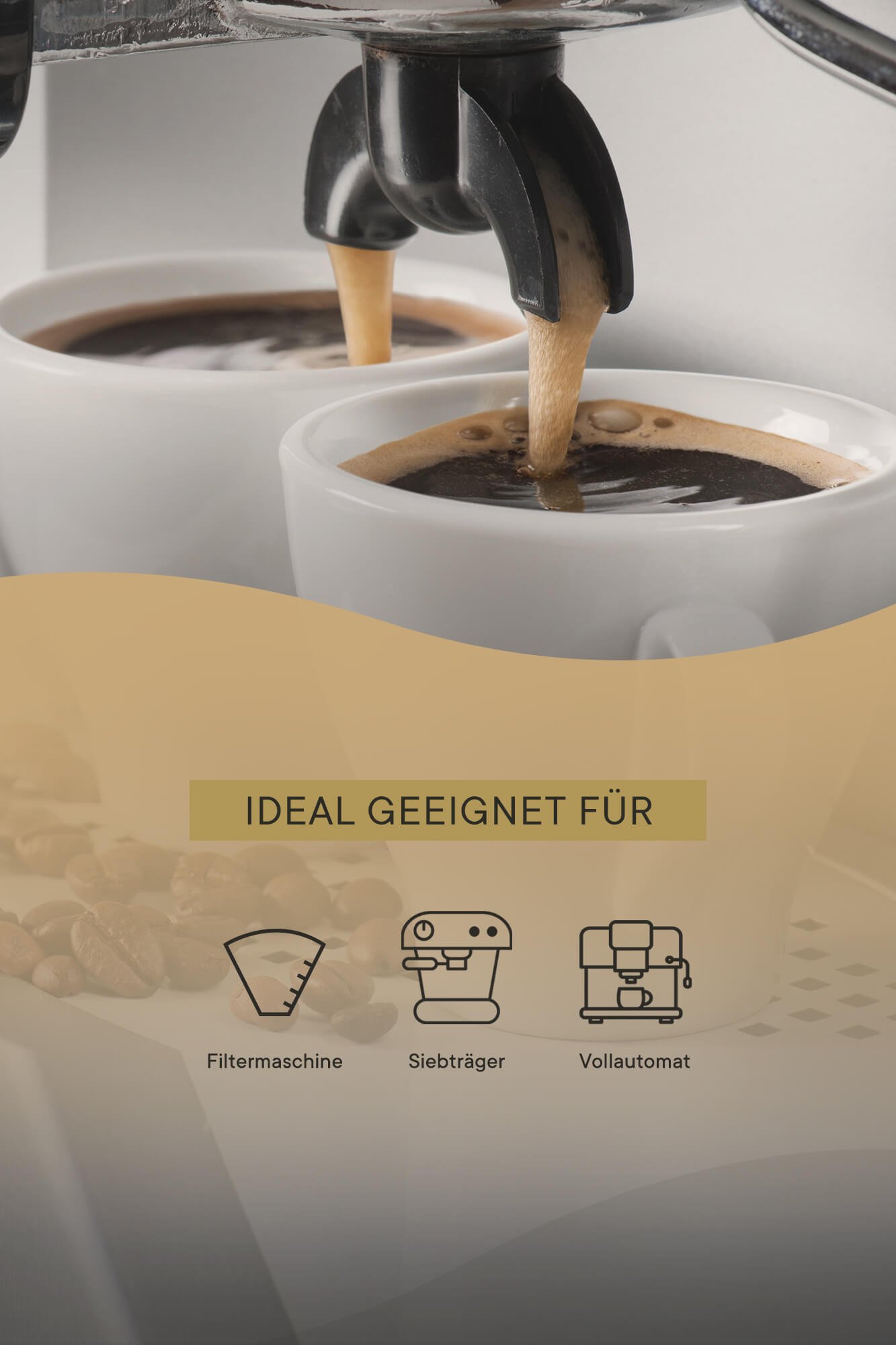 roastmarket Coffee Blend Vorteilspaket 6kg