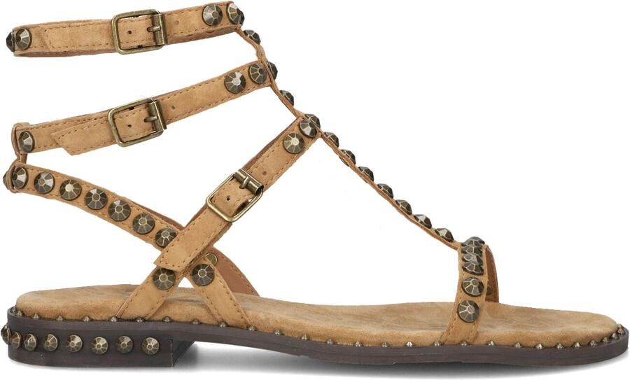 ASH Dames Play Maat: 39 Materiaal: Suède Kleur: Camel