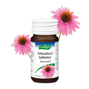 A.Vogel Echinaforce Tabletten 80TB