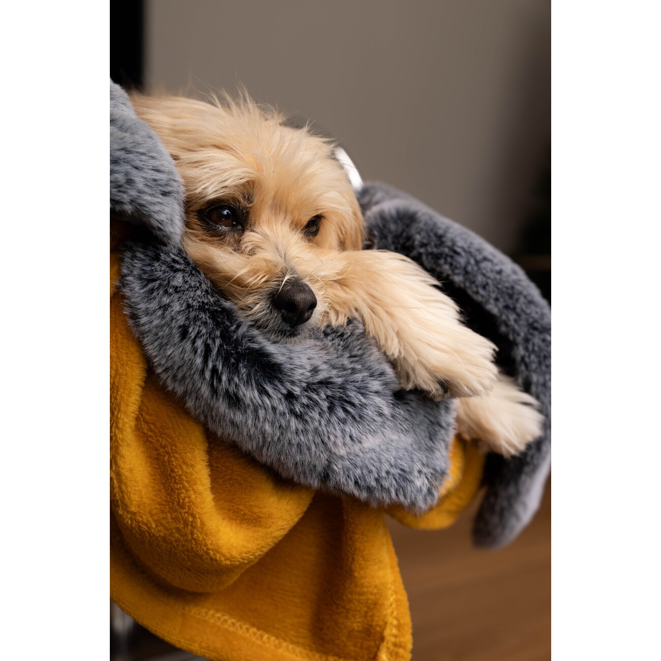 TrendPet Yuma Hundedecke XS