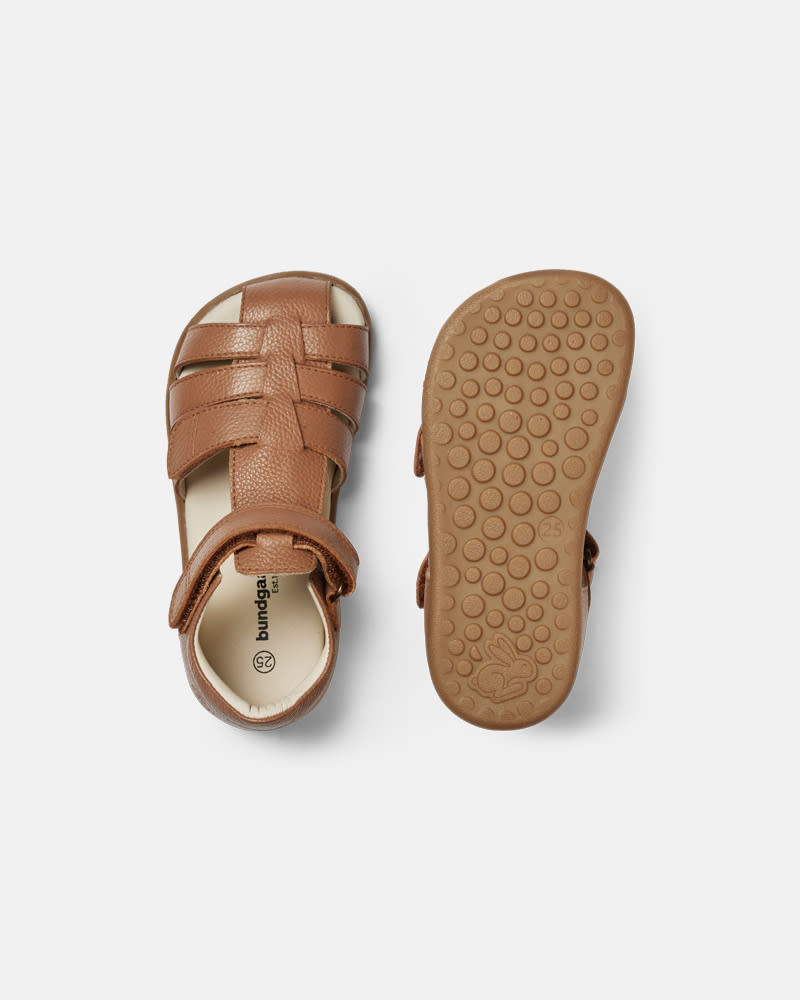 Rox Cognac