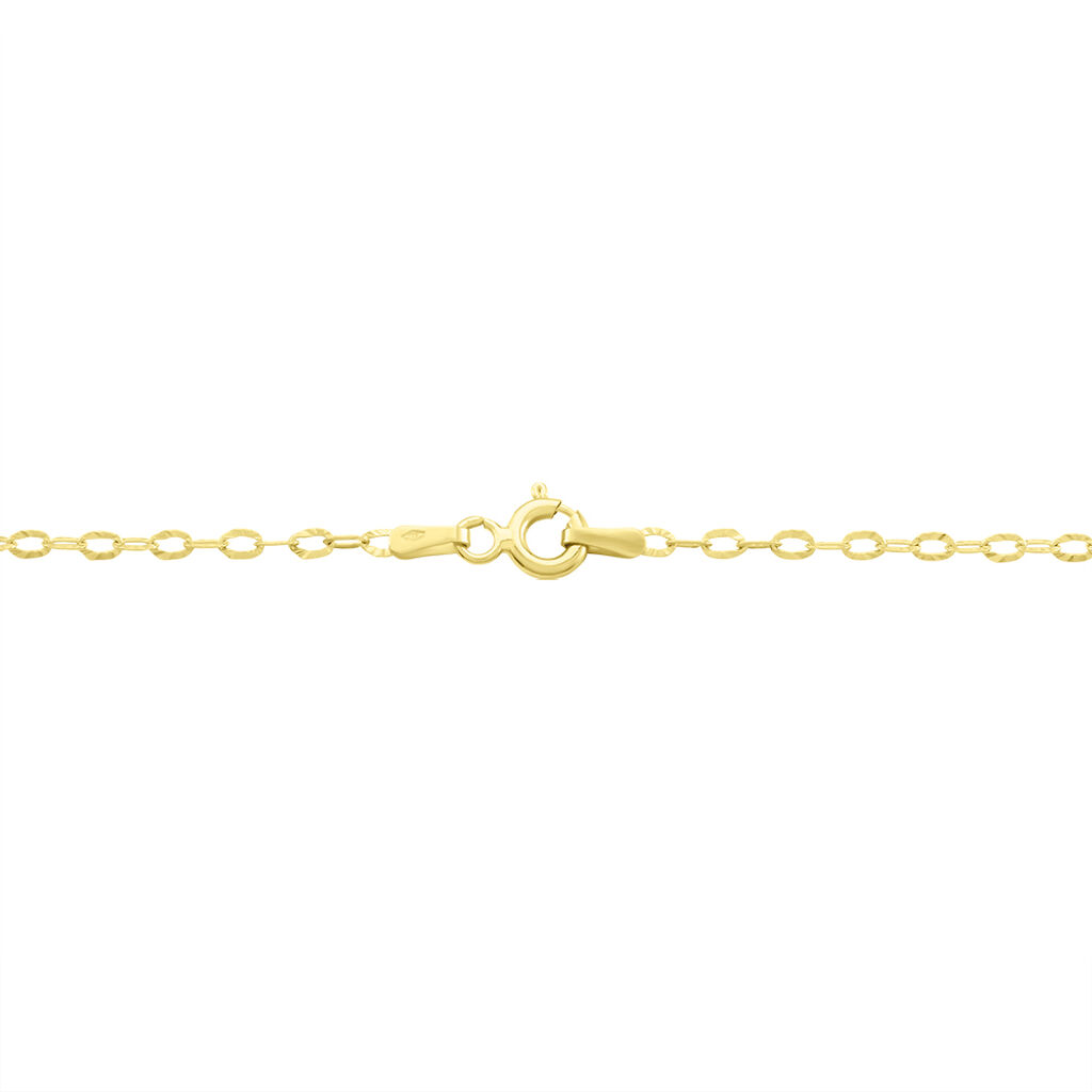 Chaîne Forçat Or Jaune