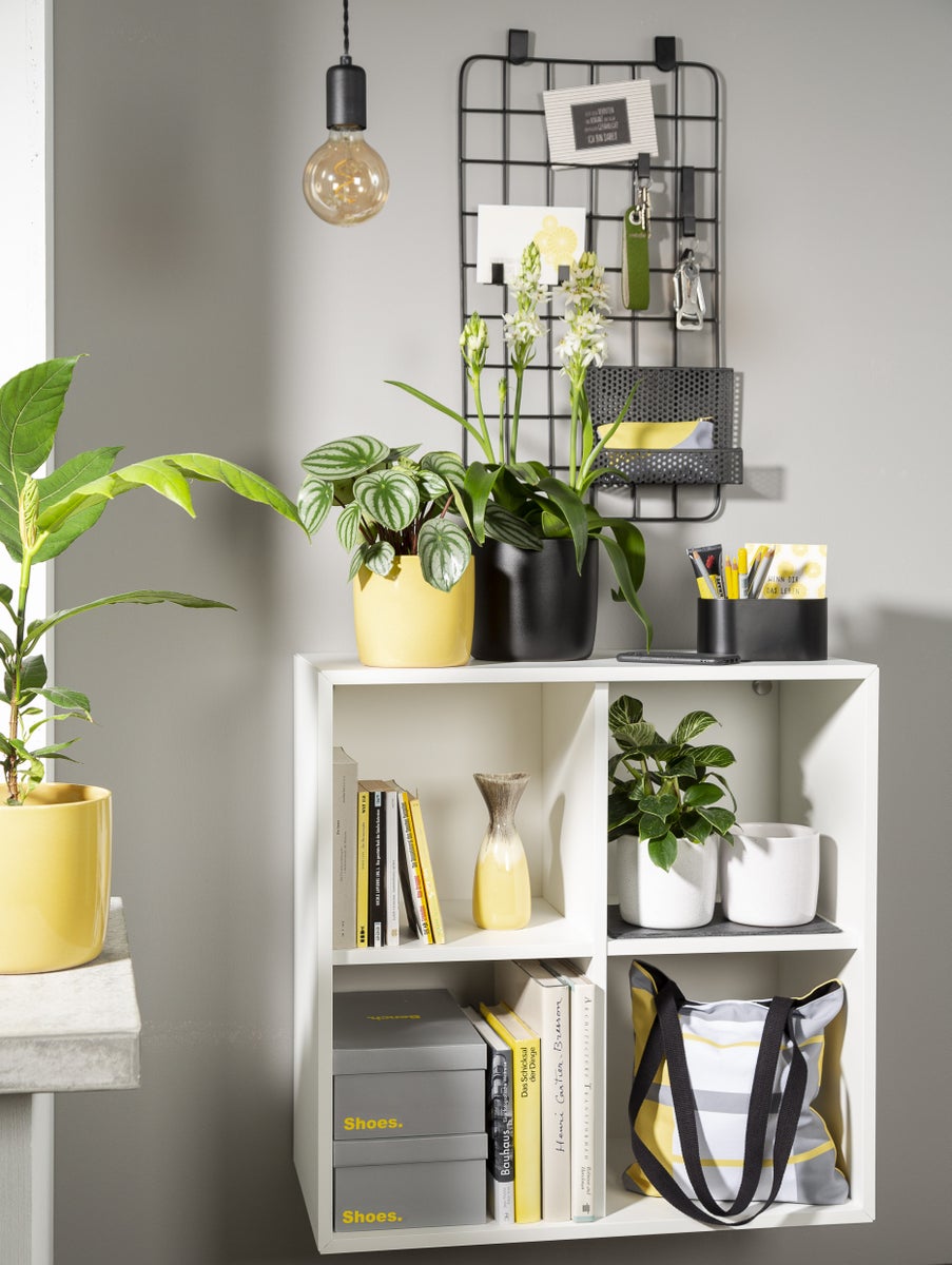Scheurich Solido, keramische bloempot set van 2, kleur: Ebano, 15 cm diameter, 13,7 cm hoog, inhoud 1,9 l.