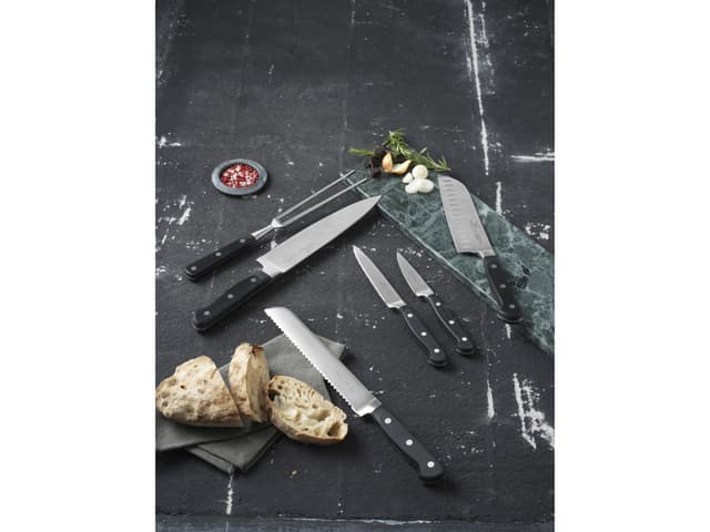 Lion Sabatier International Knivsæt Steel/Black