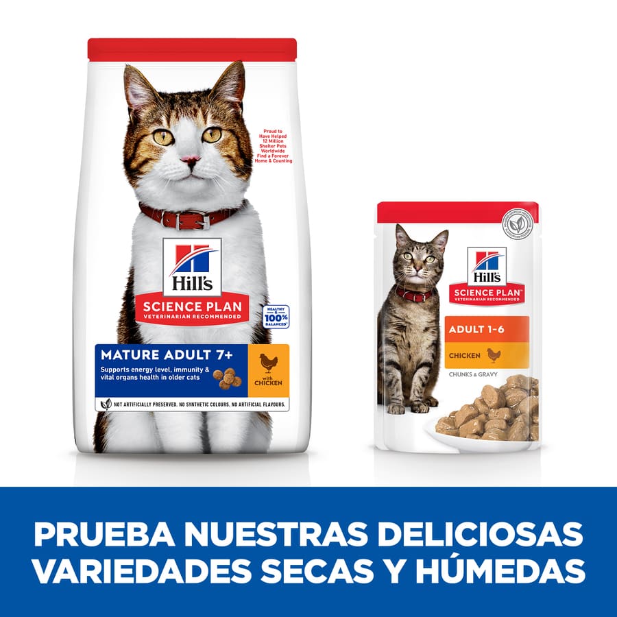 Ração para gatos Hill's Science Plan Mature Adult 7+ sabor frango