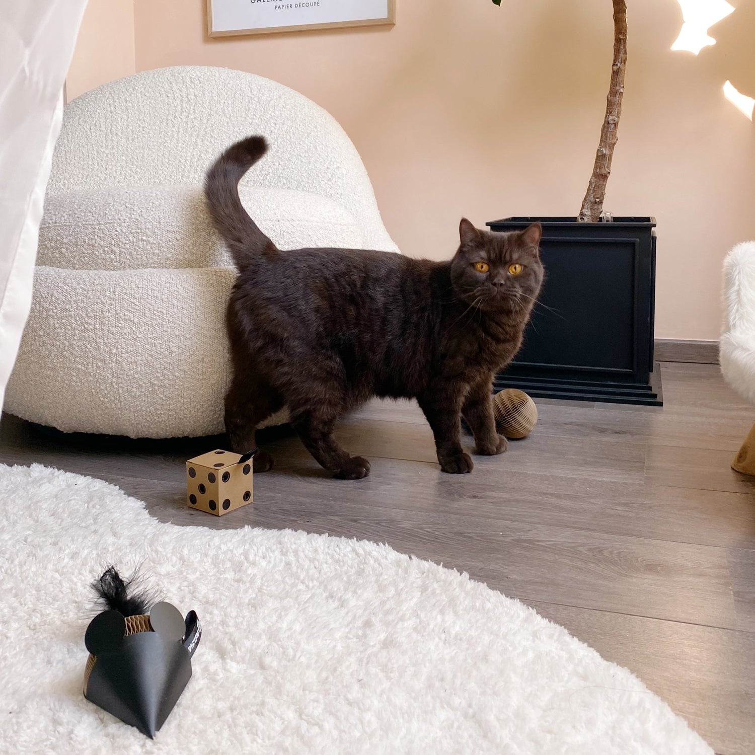 District 70 kattenspeelgoed gift set bruin 3 stuks