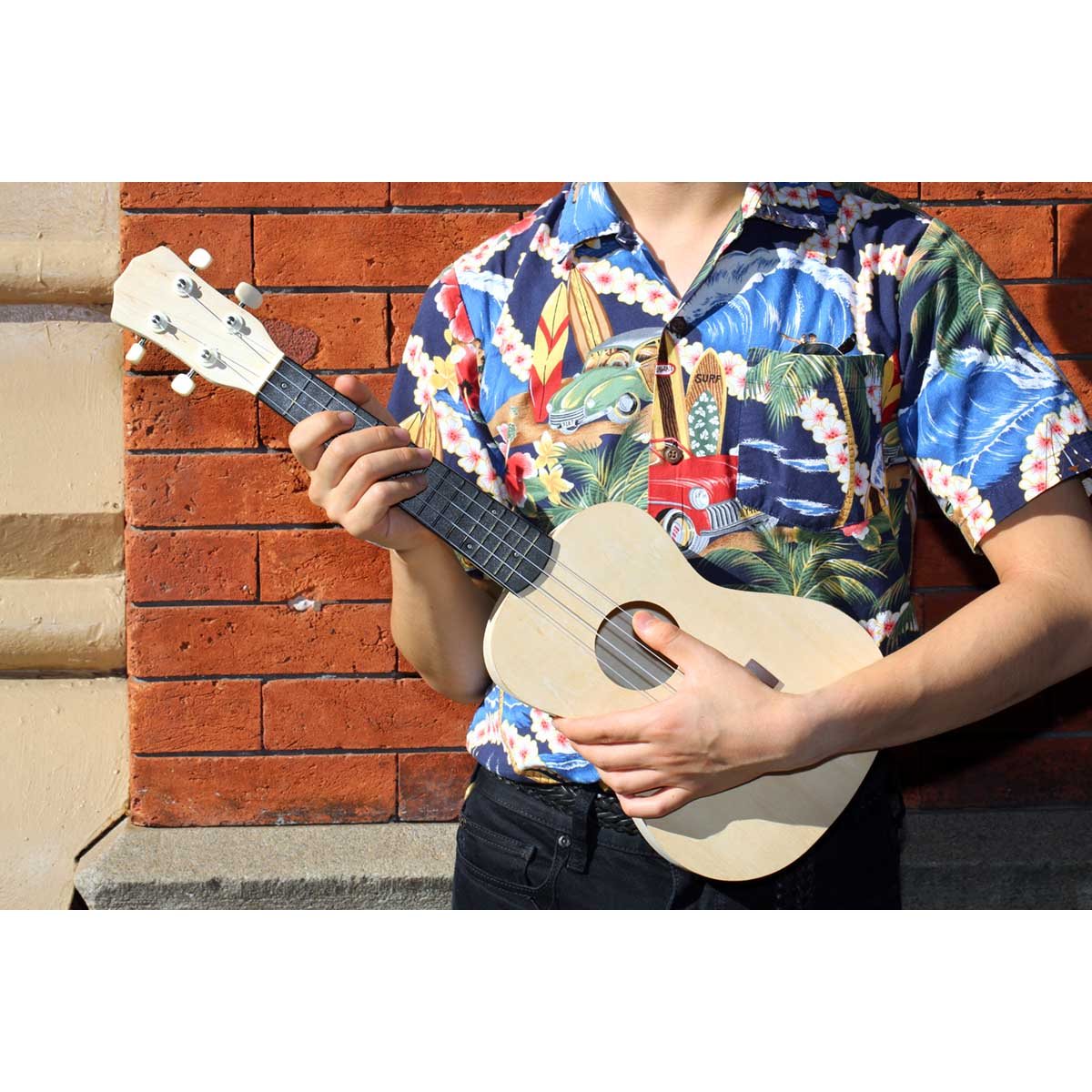 Make Your Own Ukulele