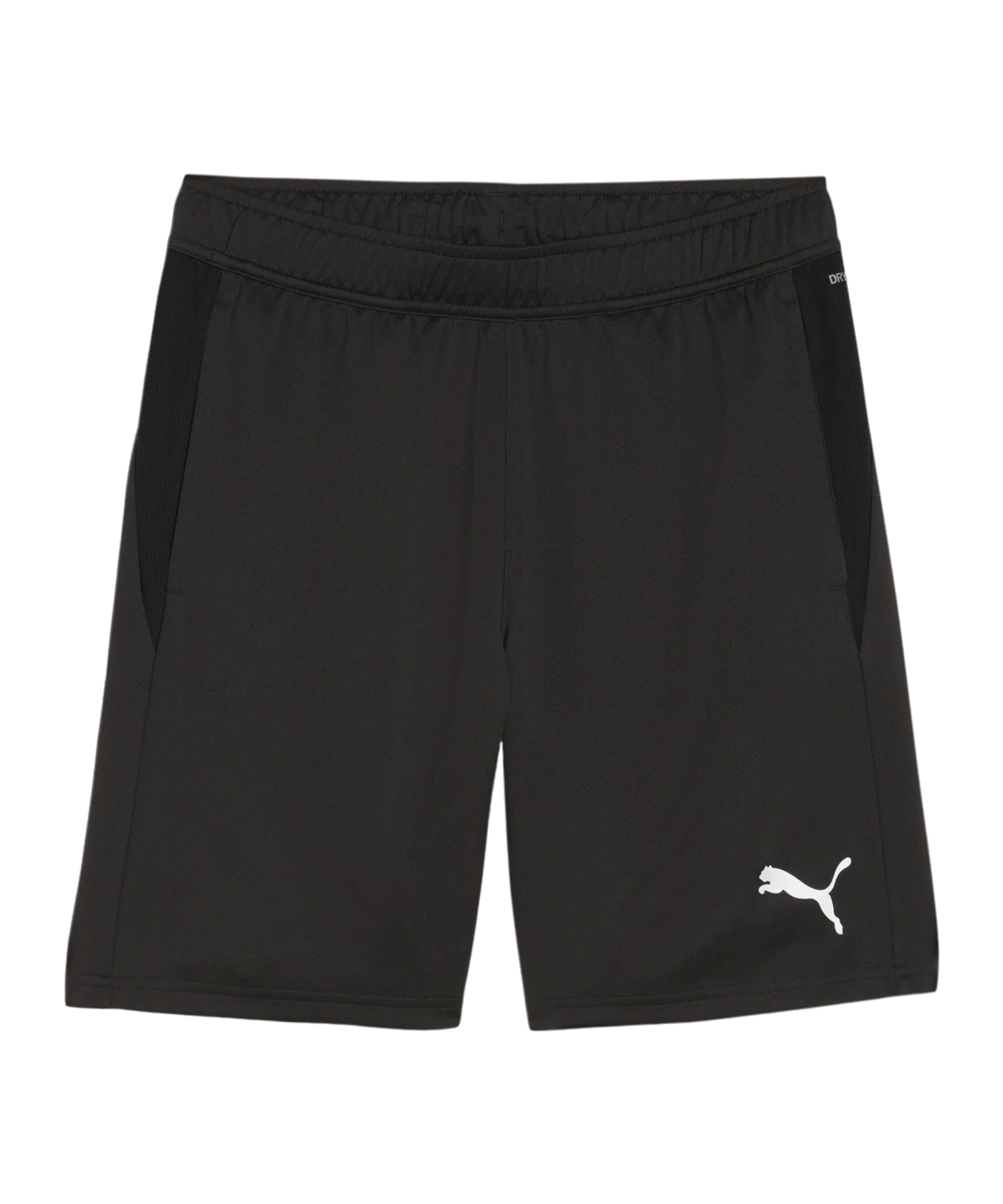 PUMA teamGOAL Training Shorts Schwarz F03