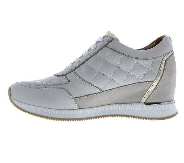 Moda in Pelle Berke Trainers
