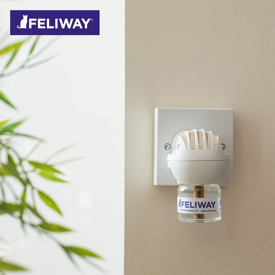FELIWAY® CLASSIC