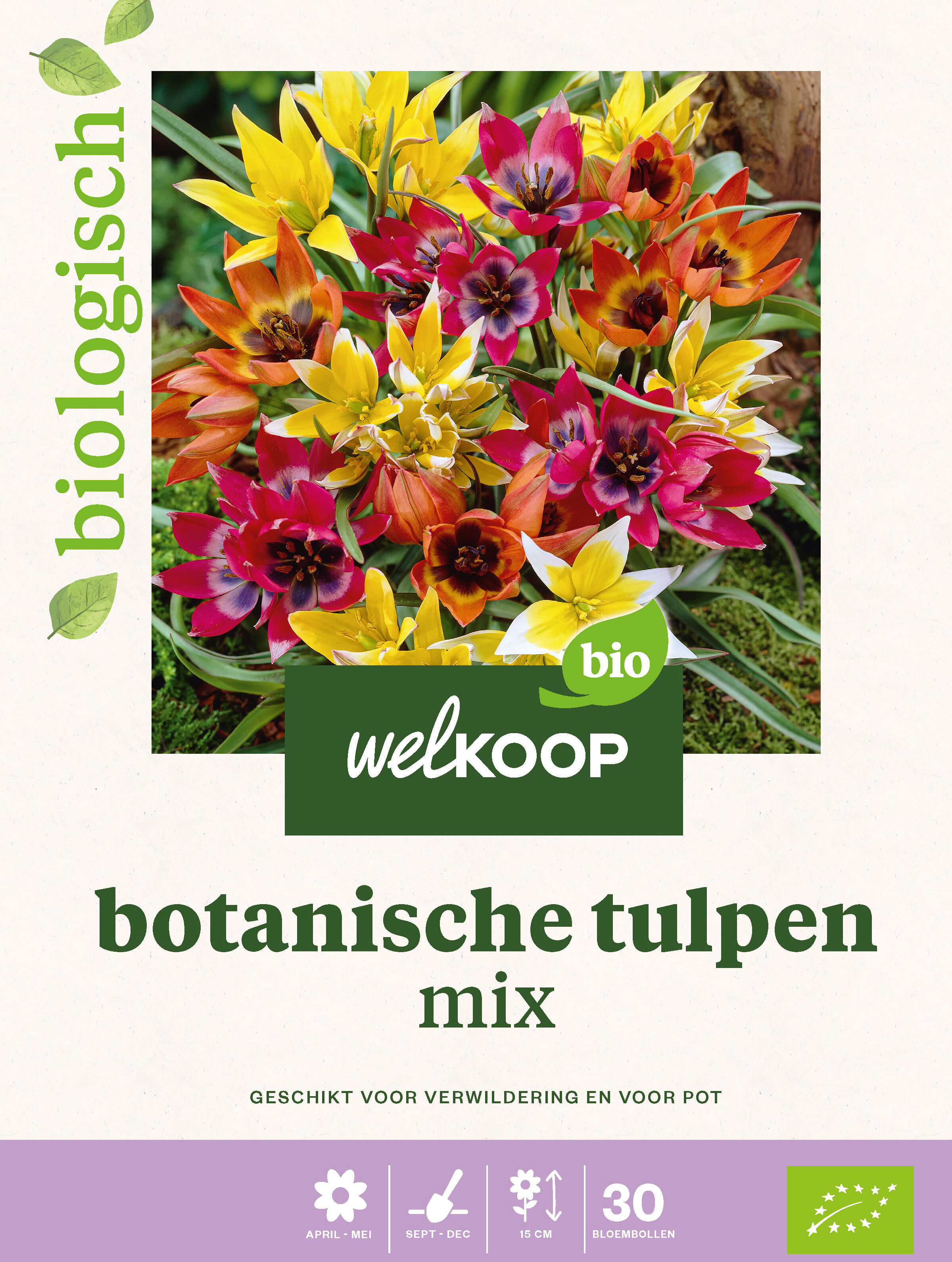 Welkoop Tulp Biologisch Botanische mix - Bloembollen