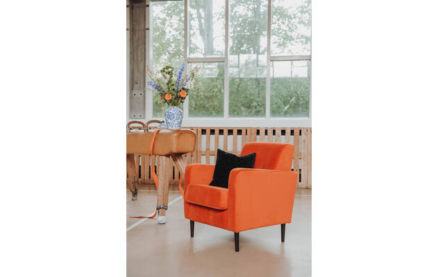 Fauteuil Hipp