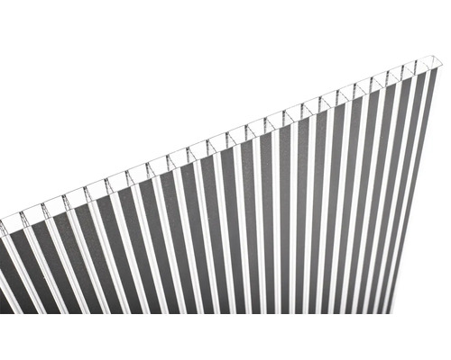 Gutta polycarbonaat holle kamerplaat/wandplaat 20-16 ZEBRAPLATE antraciet 2000 mm x 980 mm x 16 mm